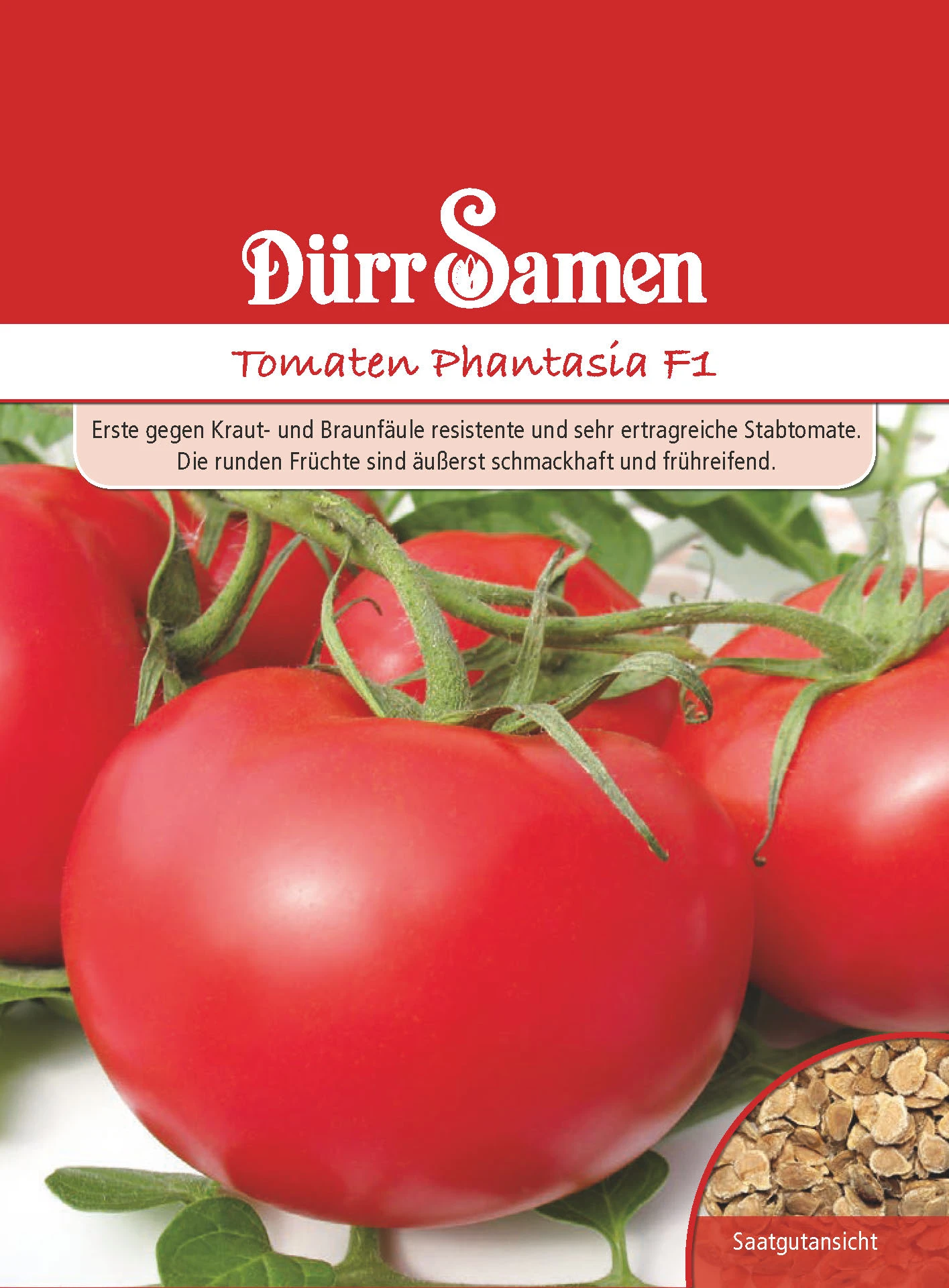Stabtomate Phantasia F1 | Stabtomatensamen Von Dürr Samen 1 Stabtomate Phantasia F1 | Stabtomatensamen Von Dürr Samen