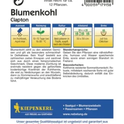 Baum Freude Verkäufe -Baum Freude Verkäufe 3458 Blumenkohl Clapton F1 1