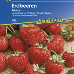 Erdbeere Fresca | Erdbeersamen Von Kiepenkerl