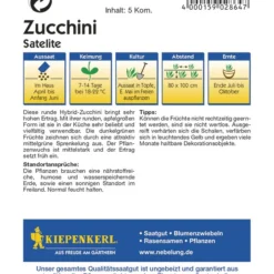 Zucchini Satelite F1 | Zucchinisamen Von Kiepenkerl