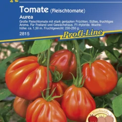 Tomate Aurea F1 | Tomatensamen Von Kiepenkerl