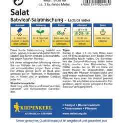 Salat Babyleaf - Mischung | Salatsamen Von Kiepenkerl