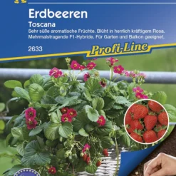 Erdbeere Toscana (Pillensaat) | Erdbeersamen Von Kiepenkerl