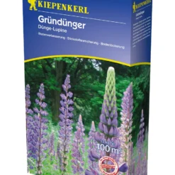 Düngelupinen - Großpackung (2 Kg) | Gründünger Von Kiepenkerl