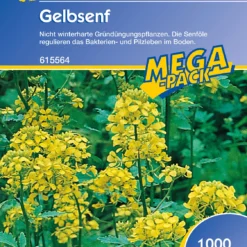 Gelbsenf (1 Kg) | Gründünger Von Kiepenkerl