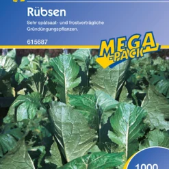 Rübse (1 Kg) | Gründünger Von Kiepenkerl