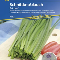 Schnittknoblauch Fat Leaf | Knoblauchsamen Von Kiepenkerl