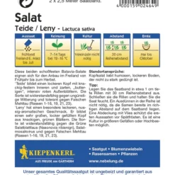 Salat Batavia - Mix Rot - Grüner (Saatband) 2 X 2,5 M | Salatsamen Von Kiepenkerl