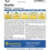 Gurke Picolino F1 | Gurkensamen Von Kiepenkerl