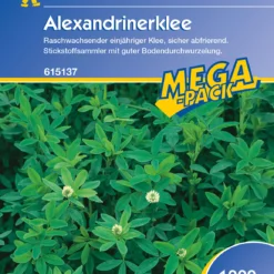 Alexandrinerklee (1 Kg) | Gründünger Von Kiepenkerl