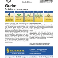 Salatgurke Delistar | Salatgurkensamen Von Kiepenkerl