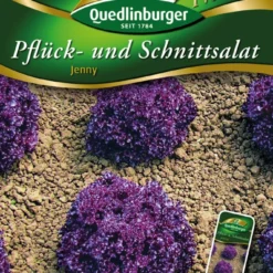 Pflücksalat Jenny | Pflücksalatsamen Von Quedlinburger