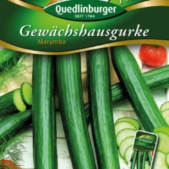 Gewächshausgurke Marumba F1 | Gurkensamen Von Quedlinburger