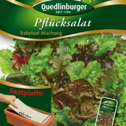 Pflücksalat Babyleaf | Pflücksalatsamen Von Quedlinburger