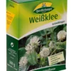 Weißklee 500 G | Gründünger Von Quedlinburger