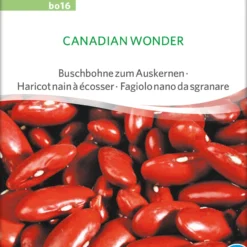 Auskernbohne Canadian Wonder | BIO Auskernbohnensamen Von Sativa Rheinau