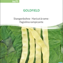 Stangenbohne Goldfield | BIO Stangenbohnensamen Von Sativa Rheinau
