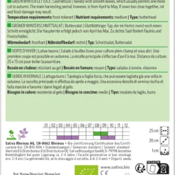 Buttersalat Winterschnittsalat Grüner | BIO Salatsamen Von Sativa Rheinau