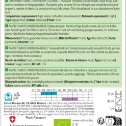Balkontomate Ampeltomate Himbeerfarbige | BIO Buschtomatensamen Von Sativa Rheinau
