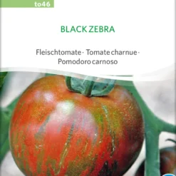 Fleischtomate Black Zebra | BIO Fleischtomatensamen Von Sativa Rheinau