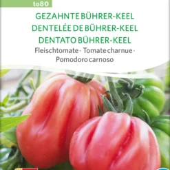 Fleischtomate Gezahnte Bührer-Keel | BIO Fleischtomatensamen Von Sativa Rheinau