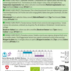 Fleischtomate Orange À Gros Fruits | BIO Fleischtomatensamen Von Sativa Rheinau