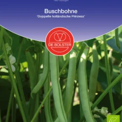 Buschbohne Doppelte Holländische Prinzess | BIO Buschbohnensamen Von De Bolster