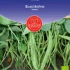 Buschbohne Nassau | BIO Buschbohnensamen Von De Bolster