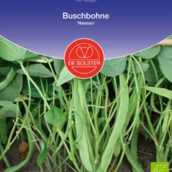 Buschbohne Nassau | BIO Buschbohnensamen Von De Bolster