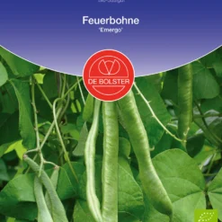 Feuerbohne Emergo| BIO Bohnensamen Von De Bolster [MHD 12/2023]