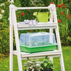 Gewächshaus M | Zimmergewächshaus Von Romberg -Baum Freude Verkäufe 535231 Gewaechshaus M 10094102 1