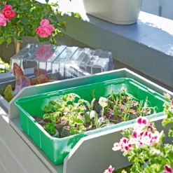 Anzuchthaus M PLUS | Mini-Gewächshaus Von Romberg