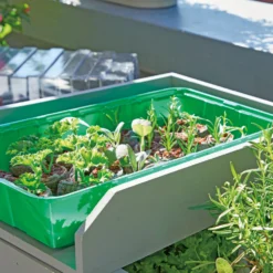 Anzuchthaus M PLUS | Mini-Gewächshaus Von Romberg -Baum Freude Verkäufe 535236 Anzuchthaus M PLUS 10094202 2