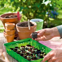 Anzuchthaus M PLUS | Mini-Gewächshaus Von Romberg -Baum Freude Verkäufe 535236 Anzuchthaus M PLUS 10094202 3