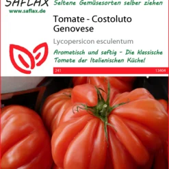 Tomate Costoluto Genovese | Tomatensamen Von Saflax