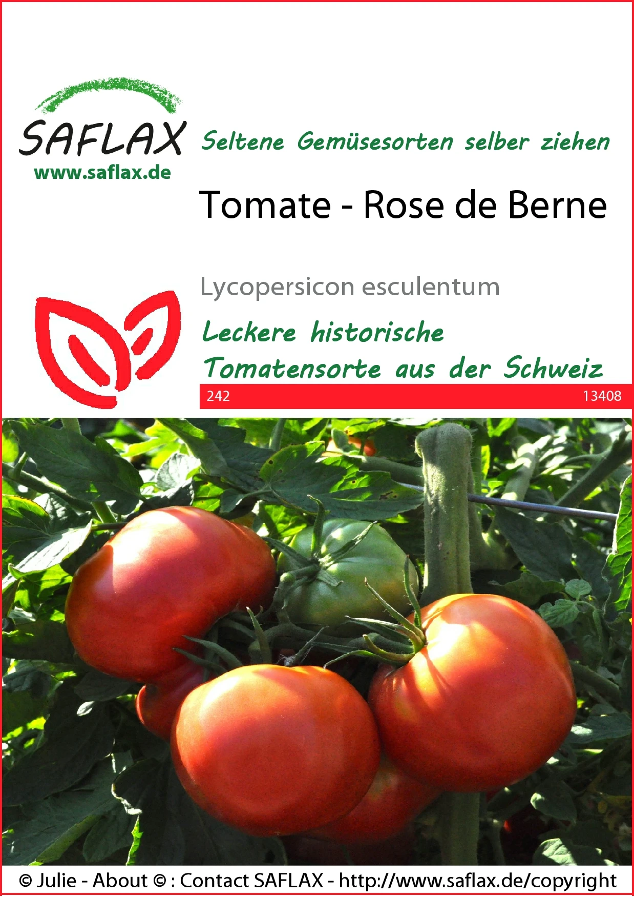Tomate Rose De Berne | Tomatensamen Von Saflax 2 Tomate Rose De Berne | Tomatensamen Von Saflax – Bild 2