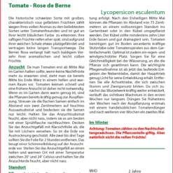 Tomate Rose De Berne | Tomatensamen Von Saflax