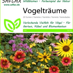 Blumenwiese Vogelträume | Wildblumenwiese Von Saflax
