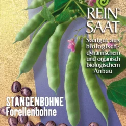 Forellenbohne | BIO Bohnensamen Von Reinsaat