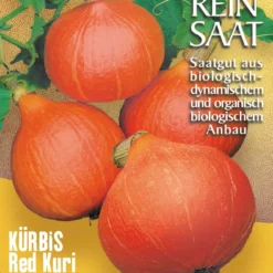 Kürbis Red Kuri | BIO Kürbissamen Von Reinsaat