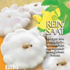 Kürbis Patisson Custard White | BIO Patissonkürbissamen Von Reinsaat