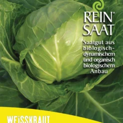 Weißkraut Derby Day | BIO Weißkohlsamen Von Reinsaat