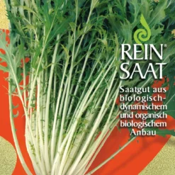 Asiagemüse Mizuna | BIO Gemüsesamen Von Reinsaat