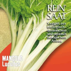 Mangold Lucullus | BIO Mangoldsamen Von Reinsaat