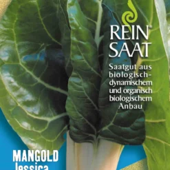 Mangold Jessica | BIO Mangoldsamen Von Reinsaat