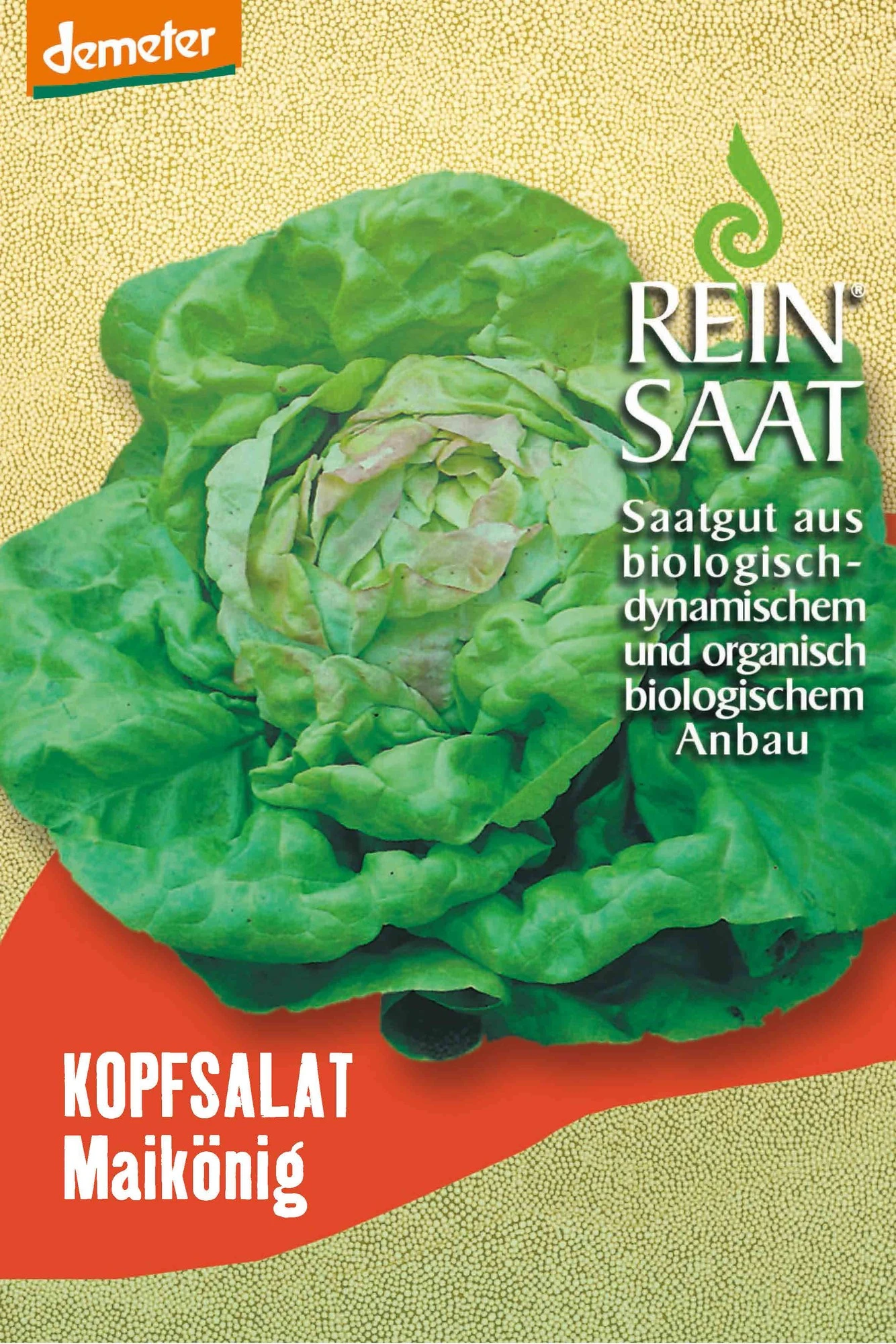 Kopfsalat Maikönig | BIO Kopfsalatsamen Von Reinsaat 1 Kopfsalat Maikönig | BIO Kopfsalatsamen Von Reinsaat