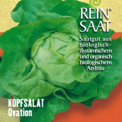 Kopfsalat Ovation | BIO Kopfsalatsamen Von Reinsaat