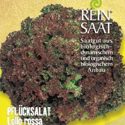 Pflücksalat Lollo Rossa | BIO Pflücksalatsamen Von Reinsaat