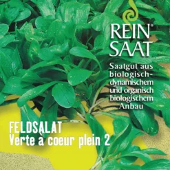 Feldsalat Verte à Coeur Plein 2 | BIO Feldsalatsamen Von Reinsaat