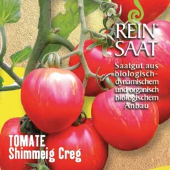 Salattomate Shimmeig Creg | BIO Buschtomatensamen Von Reinsaat